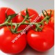 Seminte de tomate Endeavour F1