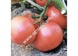 Seminte de tomate Esmira F1