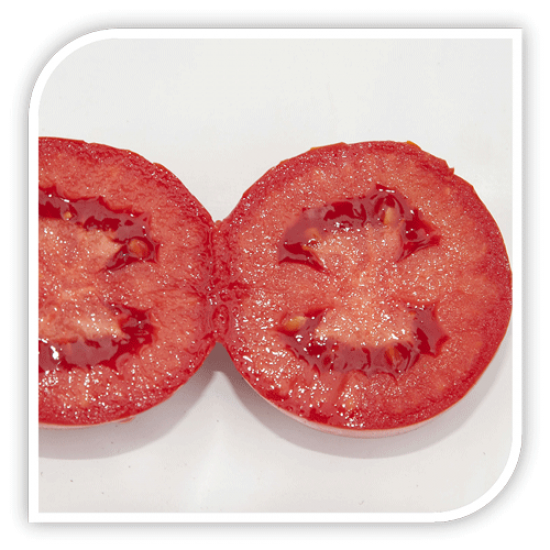 Seminte de tomate FIRMUS F1