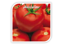 Seminte de tomate GRAVITET F1