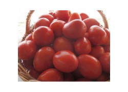 Seminte de tomate JAG 8810 F1