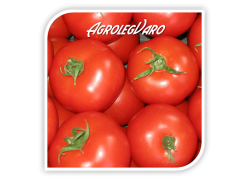 Seminte de tomate K. JUBILEUM