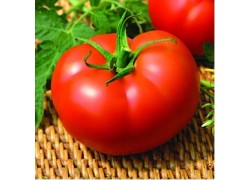 Seminte de tomate KIVELI F1