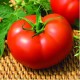 Seminte de tomate KIVELI F1