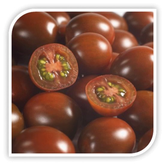 Seminte de tomate KM5512 F1