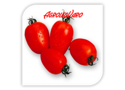 Seminte de tomate LISSETE F1