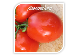 Seminte de tomate LUGAS F1