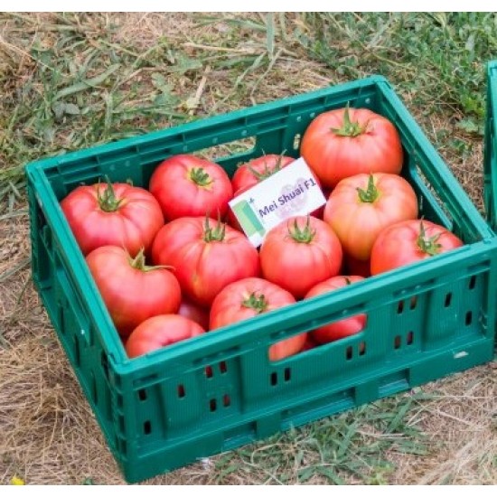 Seminte de tomate MEI SHUAI F1