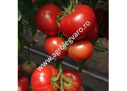 Seminte de tomate Mahitos F1