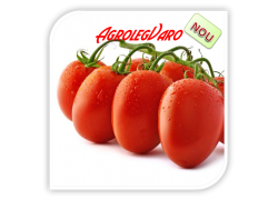 Seminte de tomate OCEANO F1