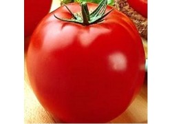 Seminte de tomate OPTIMA F1