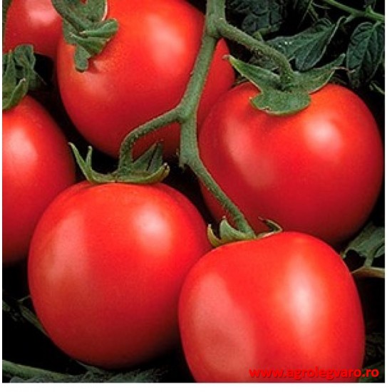 Seminte de tomate PERFECTPEEL F1