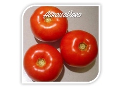 Seminte de tomate PRIMADONA F1