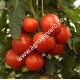 Seminte de tomate Petula F1