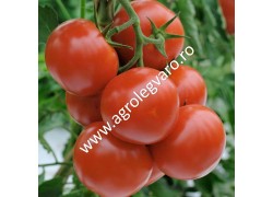 Seminte de tomate Petula F1