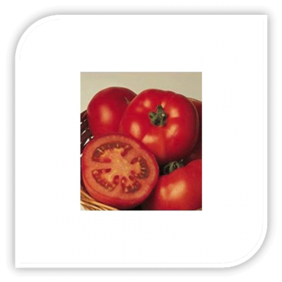 Seminte de tomate RALLY F1