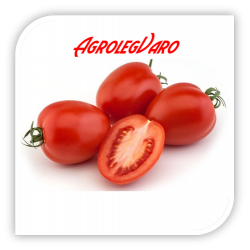 Seminte de tomate RIO GRANDE VIL
