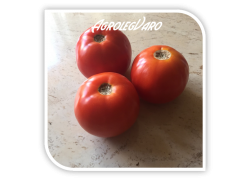 Seminte de tomate ROUVEN F1