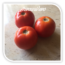 Seminte de tomate ROUVEN F1