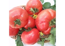 Seminte de tomate Rozalux