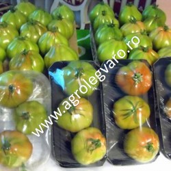 Seminte de tomate Rugantino F1