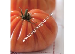 Seminte de tomate Rugantino F1