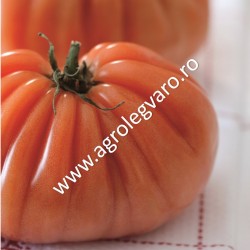 Seminte de tomate Rugantino F1