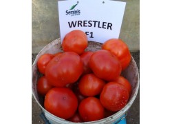 Seminte de tomate WRESTLER F1