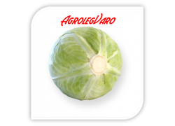 Seminte de varza ANCOMA RZ F1