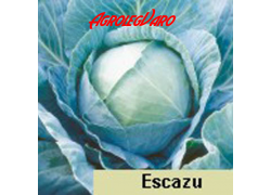 Seminte de varza alba ESCAZU F1