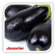 Seminte de vinete CLASSIC F1