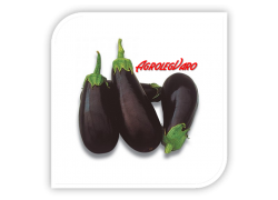 Seminte de vinete CLASSIC F1