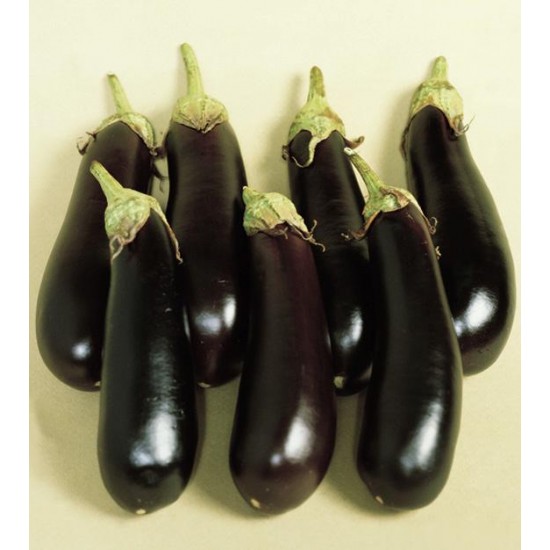 Seminte de vinete MIRABELLE F1