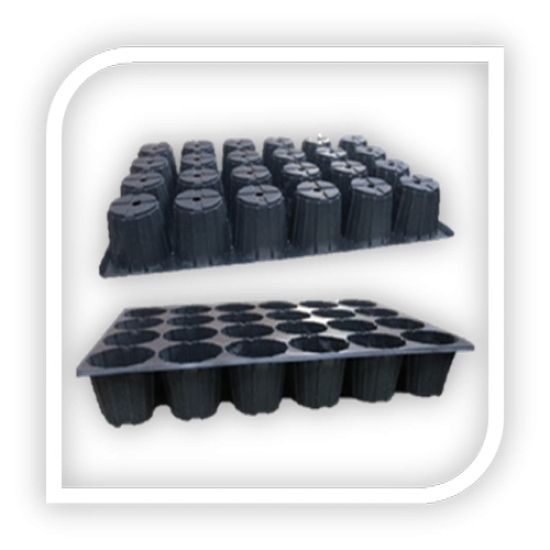 Tava alveolara cu 24 celule rotunde 8x8