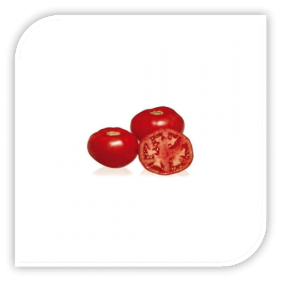 Seminte de tomate TOMATINA F1
