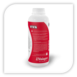 VIVA