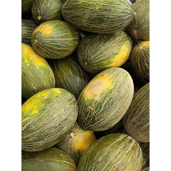 Seminte de pepene galben AIREN F1