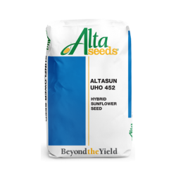 Seminte de floarea soarelui ALTASUN UHO 452