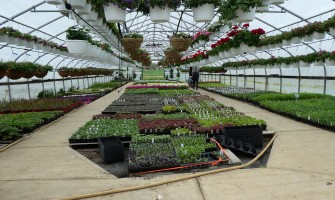 Ce trebuie să știți înainte de a achiziționa folia pentru solar