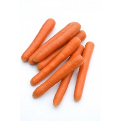 Seminte de morcovi BERLICUM