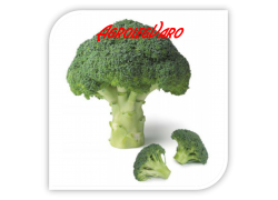 Seminte de broccoli AGASSI F1