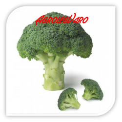 Seminte de broccoli AGASSI F1