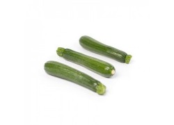 Seminte de dovlecei CALAWINTER F1