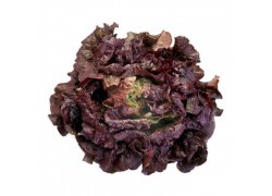 Seminte de salata CHEROKEE drajata