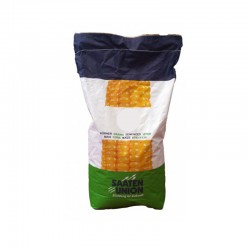 Seminte de porumb SAATEN CALI