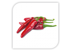 Seminte de ardei pentru boia FONO F1