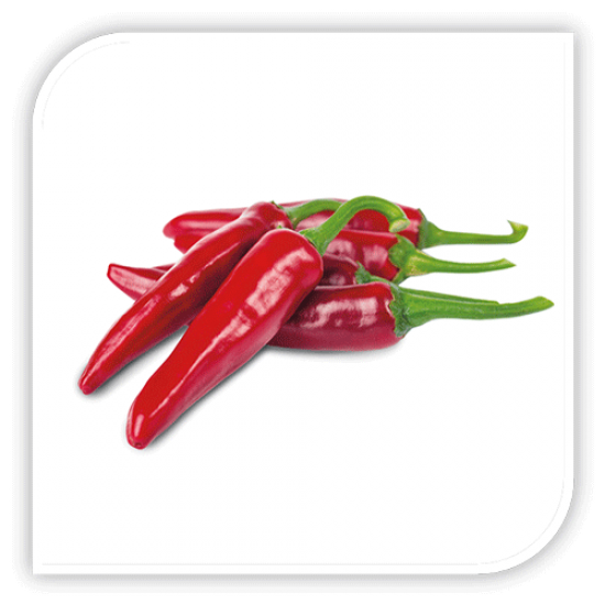 Seminte de ardei pentru boia FONO F1