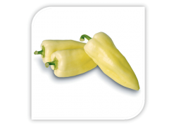 Seminte de ardei conic GIDRAN F1