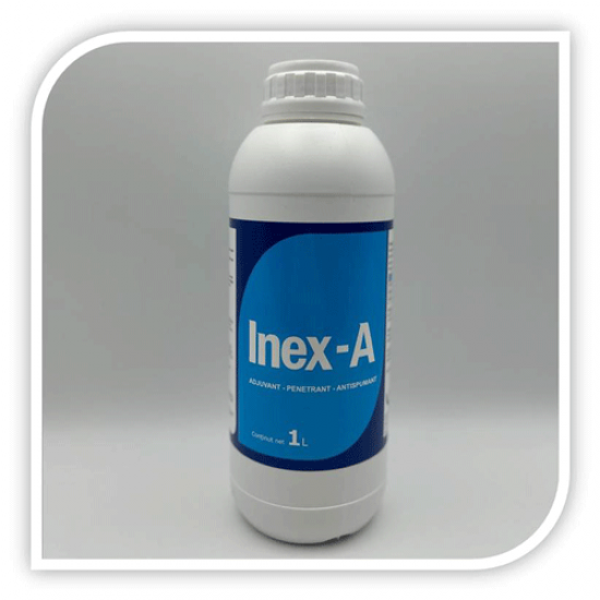 INEX-A INEX-A