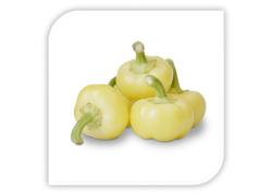 Seminte de ardei iute de tip mar ISPAN F1